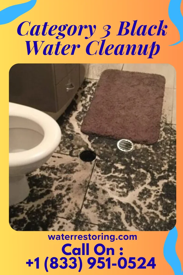 Category 3 Black Water Cleanup in Pine Beach, NJ