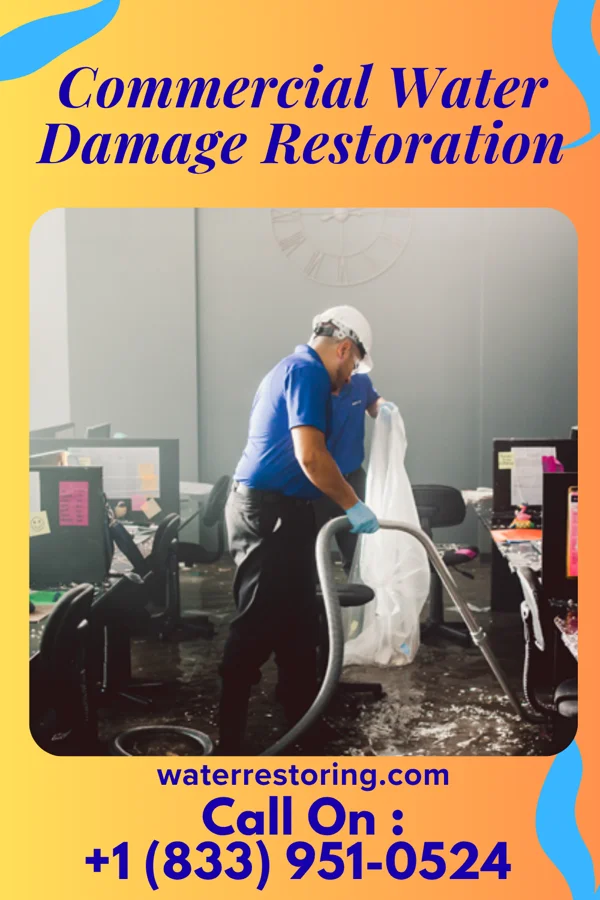 Commercial Water Damage Restoration in Pine Beach, NJ