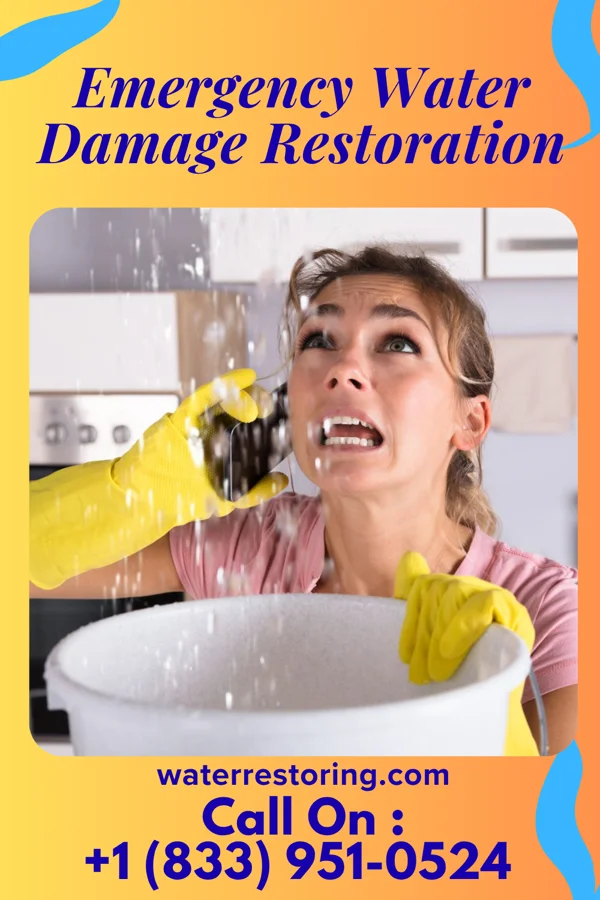 Emergency Water Damage Restoration in Pine Beach, NJ