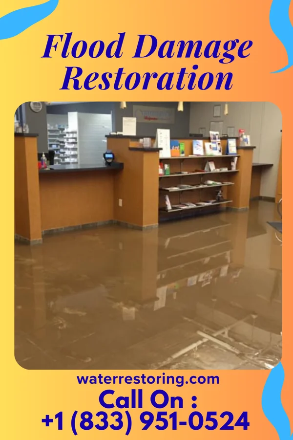 Flood Damage Restoration in Pine Beach, NJ