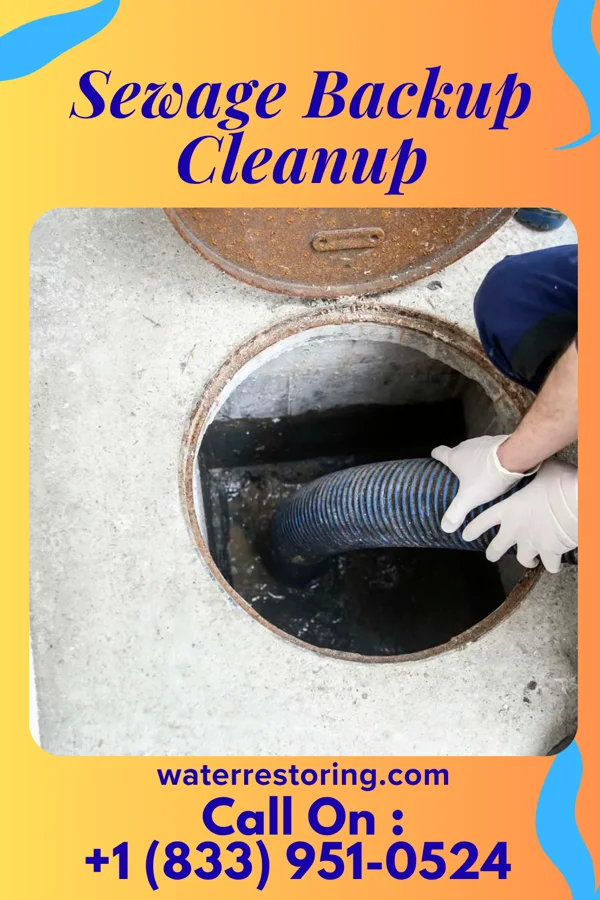 Sewage Backup Cleanup in Pine Beach, NJ