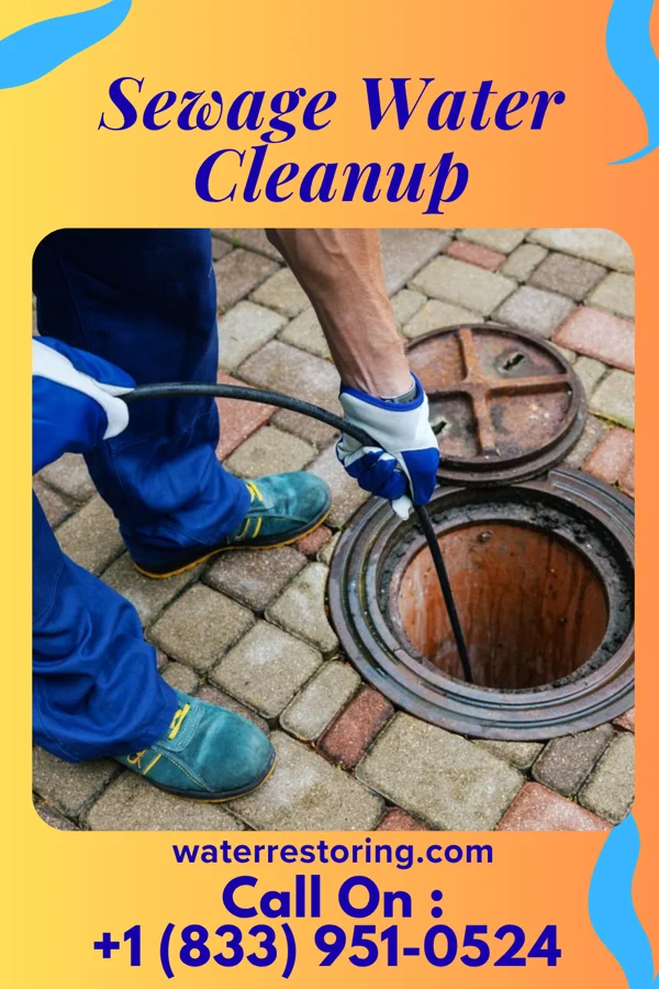 Sewage Water Cleanup in Pine Beach, NJ