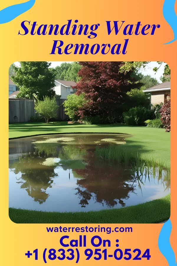 Standing Water Removal in Pine Beach, NJ